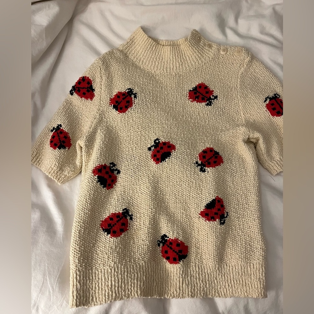Anthropologie Cream Ladybug Sweater